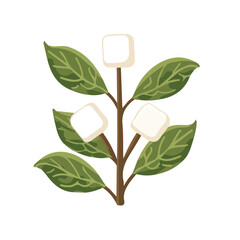 Simple flat 2D illustration of marshmallow root isolated on a white background, ai, vector marshmallow root icon set