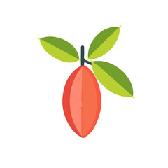 Simple flat 2D illustration of miracle fruit branch isolated on a white background, ai, vector miracle fruit branch icon set, simple design, design logo