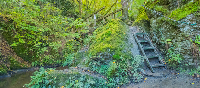 Wanderroute Traumschleife Ehrbachklamm