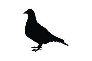 pigeon silhouette free vector isolated on white background