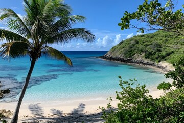 Obraz premium Hidden Tropical Cove with Turquoise Waters, White Sandy Beach, Palm Trees, Lush Greenery, and Crystal Clear Water