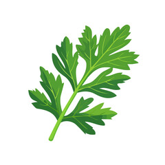 Simple flat 2D illustration of mizuna greens branch isolated on a white background, ai, vector mizuna greens icon set, simple design