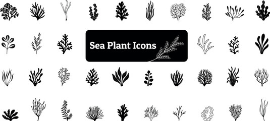Sea Plant Icon Pack, Sea Tree, Water Plant 