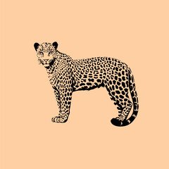 vector animal illustration, logo, silhouette with a leopard