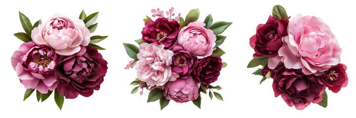 Set of Pink roses and maroon peony isolated on a transparent background