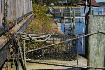 Crab Trap with Rope Along the Niantic River Shoreline in Niantic, Connecticut