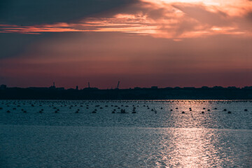 tramonto sul mare