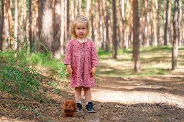 Caucasian cute child girl 2-years in a dress with a toy dog in summer.