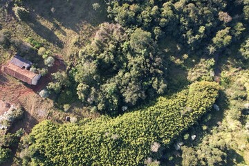 Vista aérea de vegetação em uma fazenda, com uso de drone © Ricardo_S_Levenhagen