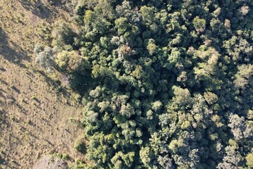 Imagem aérea de uma floresta tropical obtidas com uso de drone, no Brasil.