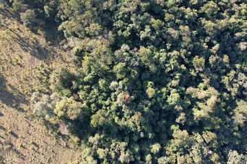 Imagem aérea de uma floresta tropical obtidas com uso de drone, no Brasil.