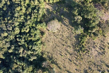 Imagem aérea de uma floresta tropical obtidas com uso de drone, no Brasil.