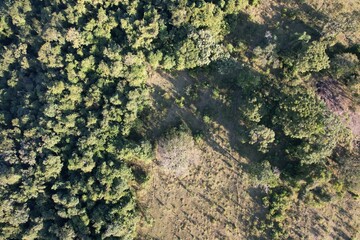Imagem aérea de uma floresta tropical obtidas com uso de drone, no Brasil. © Ricardo_S_Levenhagen