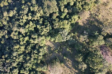 Imagem aérea de uma floresta tropical obtidas com uso de drone, no Brasil.