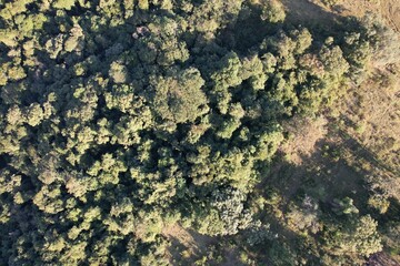 Imagem aérea de uma floresta tropical obtidas com uso de drone, no Brasil. © Ricardo_S_Levenhagen