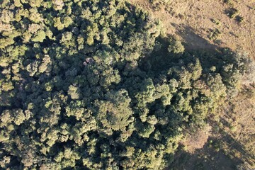 Imagem aérea de uma floresta tropical obtidas com uso de drone, no Brasil. © Ricardo_S_Levenhagen