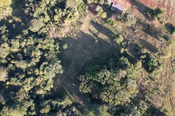 Imagem aérea de uma floresta tropical obtidas com uso de drone, no Brasil. © Ricardo_S_Levenhagen