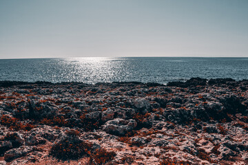paesaggio marino