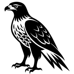 Fierce Majesty: Hawk in Full Glory vector silhouette 