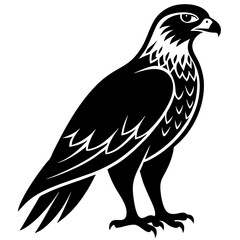 Fierce Majesty: Hawk in Full Glory vector silhouette 