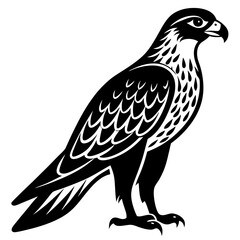 Fierce Majesty: Hawk in Full Glory vector silhouette 