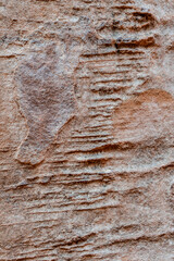 Detail of the sandstone geology of the surronding fins that make up Sand Dune Arch in Arches National Park