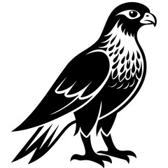 Fierce Majesty: Hawk in Full Glory vector silhouette 