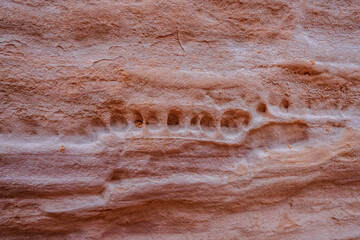Detail of the sandstone geology of the surronding fins that make up Sand Dune Arch in Arches National Park