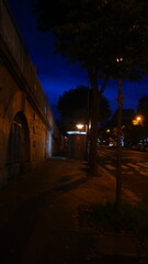 La nuit tombée sur Paris, grande avenue éclairé par des lampadaires, feuillages mortes, panneau indication de station de métro, lumières reflétant sur les feuillages des arbres, ciel blue nuité foncé,