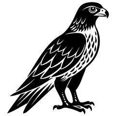 Fierce Majesty: Hawk in Full Glory vector silhouette 