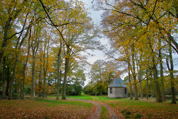 Jolis feuillages aux couleurs d'automne