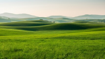 Fototapeta premium Rolling Green Hills: Capturing the essence of tranquility, rolling green hills stretch endlessly under a hazy sky, offering a serene and inspiring vista.