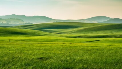 Obraz premium Rolling Green Hills: Undulating green hills stretch towards the horizon under a soft, pastel sky, creating a serene and expansive landscape with a sense of tranquility and vastness.