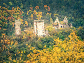telephoto view to ruins of medieval castle and church in autumn forest