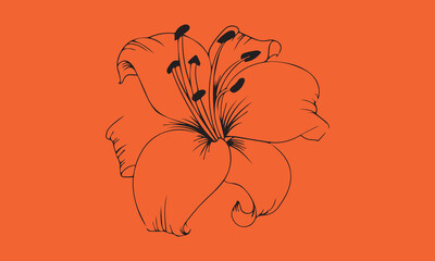 flowers tattoo design over white  Lily silhouette    vector illustration
