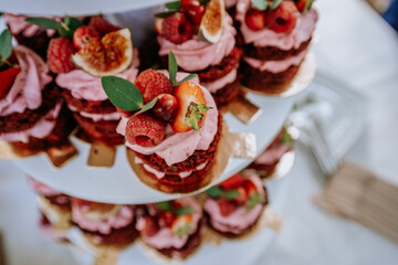 Close-up of layered mini cakes topped with pink frosting, fresh raspberries, strawberries, figs, and green leaves on a white tiered stand, perfect for an elegant event..