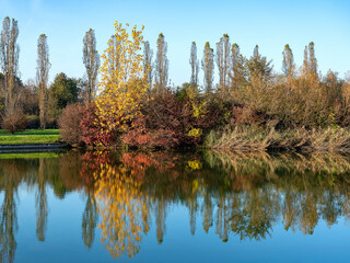 Stunningautumn landscape with large plant with leaves of many garish colors reflecting on an intensely blue body of water