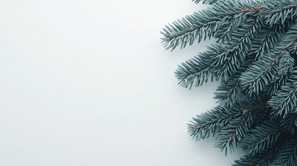Obraz premium Winter Wonderland: A Fresh Fir Branch on a Snowy Background