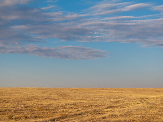 landscape of plains 