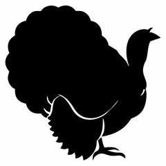 Roast Chicken Illustration
