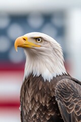 Fototapeta premium A majestic eagle stands proudly against a backdrop of the American flag in a serene setting
