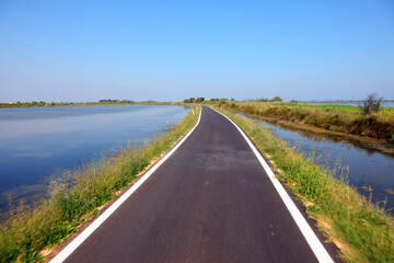road going through a flat field near a lake during the summer with no people