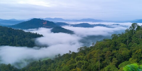 The sky is cloudy and the mountains are covered in fog. The trees are lush and green, and the landscape is serene and peaceful