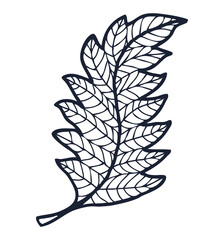 Contour hand drawing of fantasy decorative leaf, vector illustration isolated on white