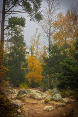 Golden autumn