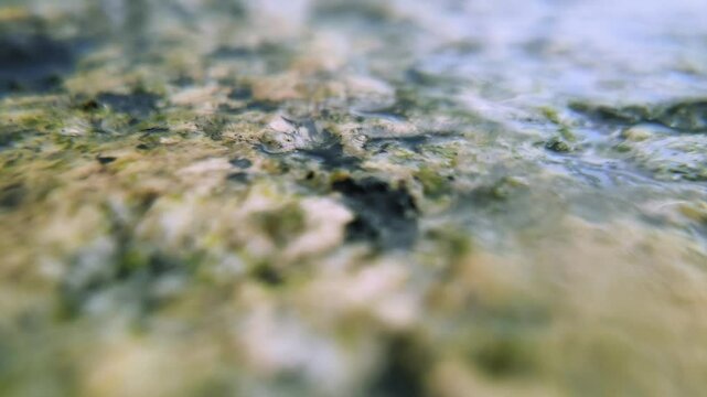 dynamic close-up of wet smooth stone facture in slow motion