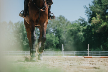 Captivating close-up of a horse's legs kicking up sand during equestrian training on a sunny day in...