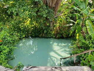 Fervedouro rio sono/ sono river in Jalapão Tocantins Brazil