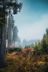 Autumn in the mountains