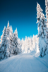 Winter in the mountains